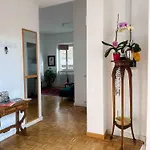 Lovely Panoramic דירה רומא