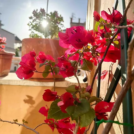 Апартаменты Lovely Panoramic