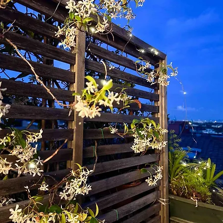 Lovely Panoramic Apartment