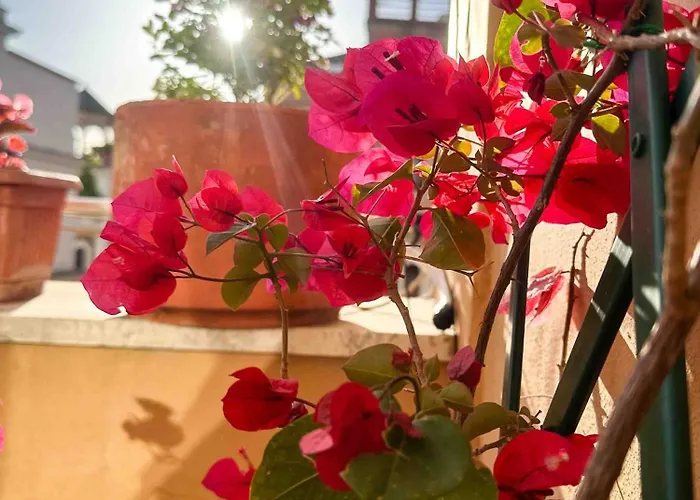 דירה Lovely Panoramic